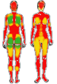 Human-female-front-and-back.jpg